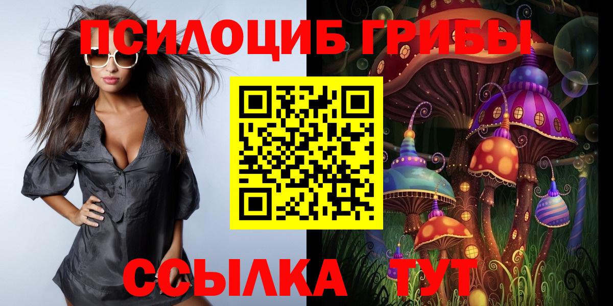 Галлюциногенные грибы MAGIC MUSHROOMS  Вход с VPN  Псилоцибиновые грибы ЛСД  Великий Новгород 